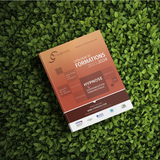catalogue 2024 homepage