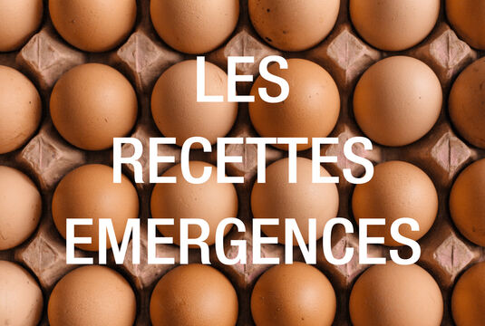 Les recettes Emergences