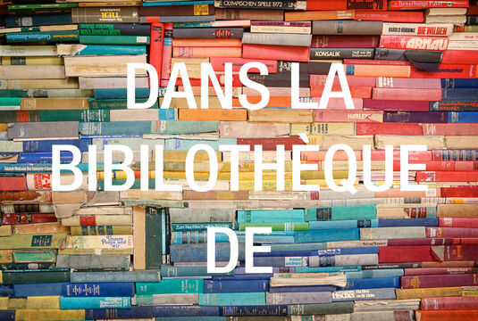 Dans la bibliotheque de