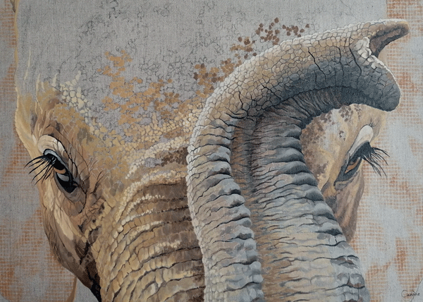 illustration éléphant