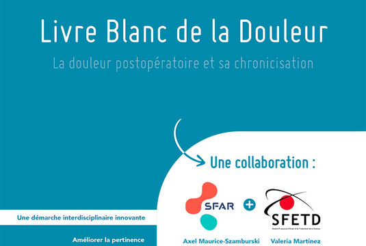 Livre Blanc de la Douleur SFETD-SFAR