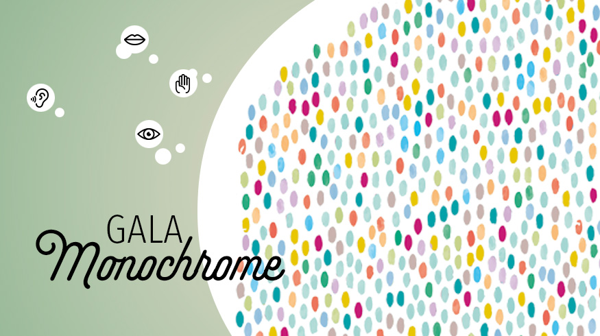 Soirée de gala 2026 visel rectangulaire